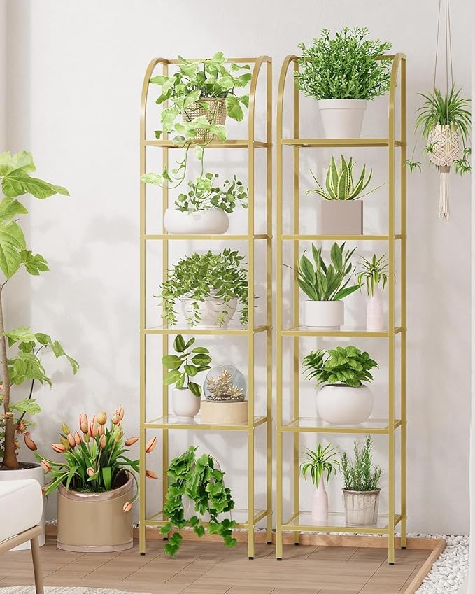 Hzuaneri Bookcase Bookshelf, Tempered Glass Arched Bookshelf