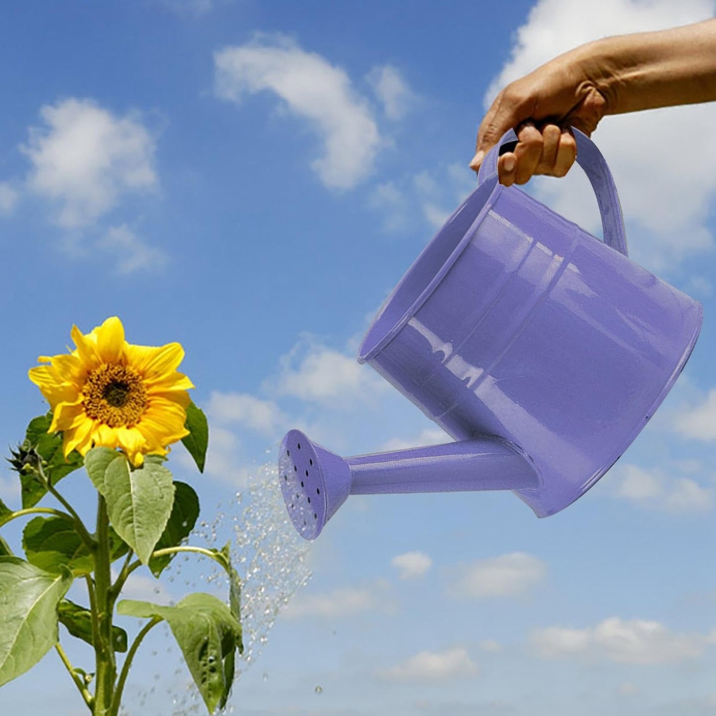 Watering Can, 1L Metal Flower Garden Watering Can, Lightweight Durable Decorative Gardening Tool for Outdoor Indoor Plants Lawn Garden (Purple)