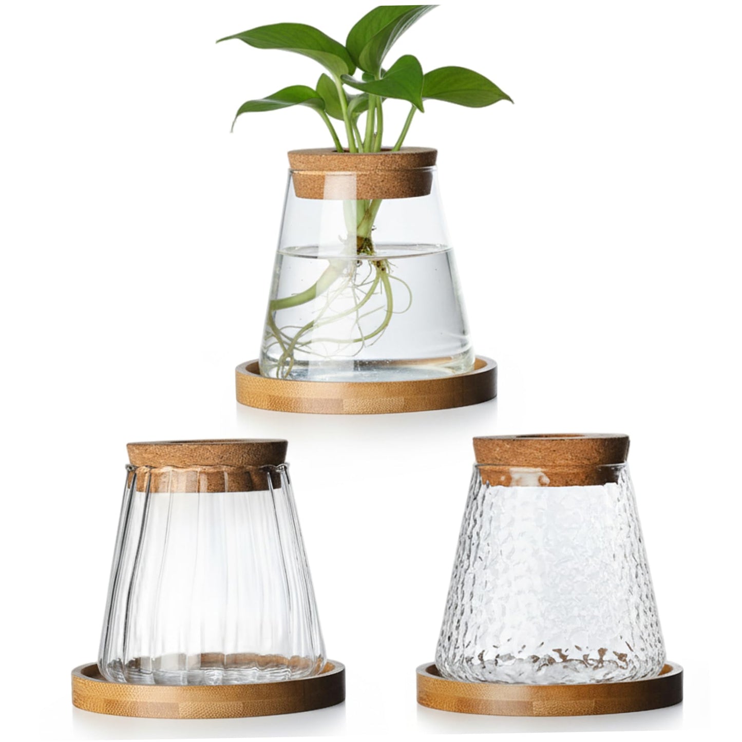 Vases, 3pcs Propagation Station, Plant Propagation Vases with Cork Stoppers & Wooden Stands for Hydroponic Plants, Office Desk Decor, Terrarium Jar