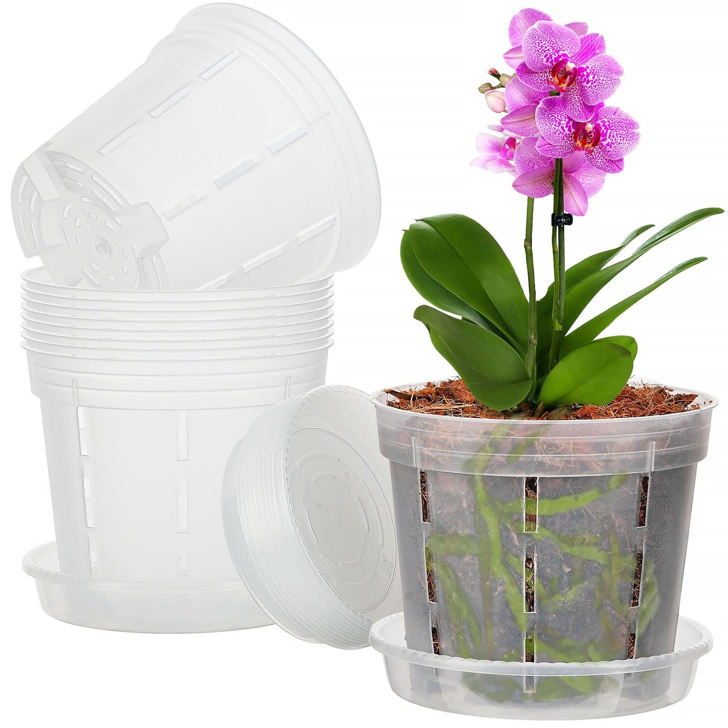 IWNTWY Orchid Pot, 10 Pack 6 Inch Clear Orchid Pots with Holes and Saucers for Repotting, Breathable Plastic Flowers Planters for Indoor Outdoor Spider Plant, African Violet