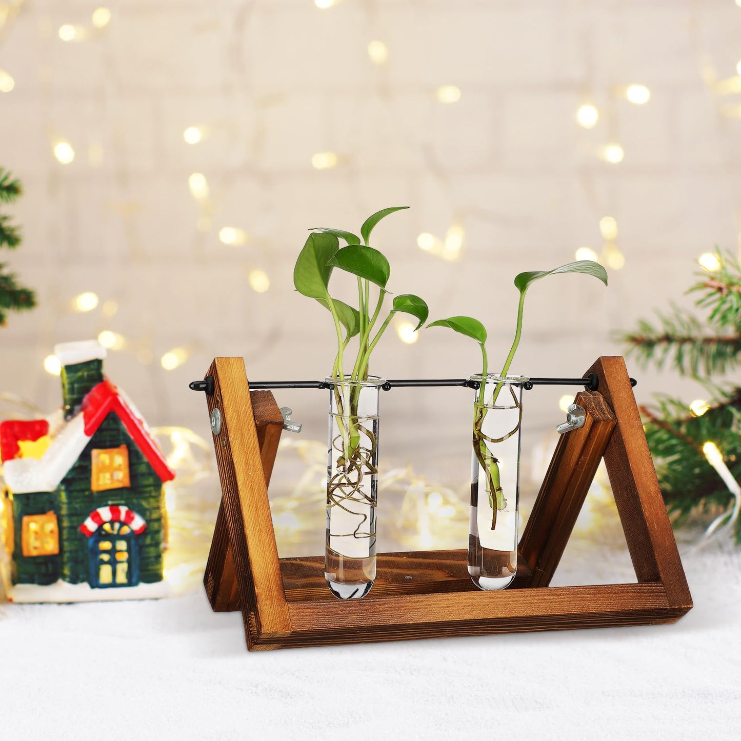 SOLUSTRE 5pcs Glass Test Tube Plant Propagation Vase Set 2.5x3x11cm Floral Tubes Hydroponic Water Culture Station for Small Terrarium Plants and Home Décor