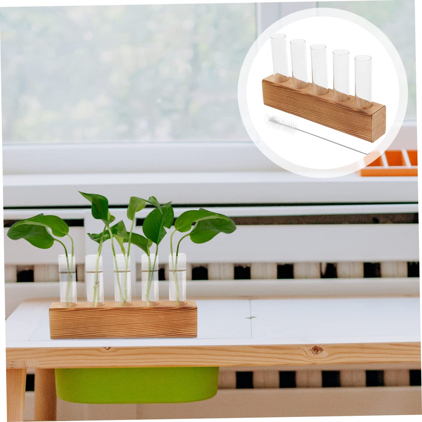 Homoyoyo 1 Set Clear Hydroponic Glass Vase for Decorative Planting - Ideal for Centerpieces - Air Plants and Flower Propagation Elegant Terrarium Planter for Home and Office Decor