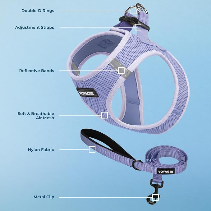 Best Pet Supplies Voyager Step-in Air All Weather Mesh Harness and Reflective Dog 5ft Leash Combo with Neoprene Handle, for Small, Medium and Large Breed Puppies - Lavender, XXS