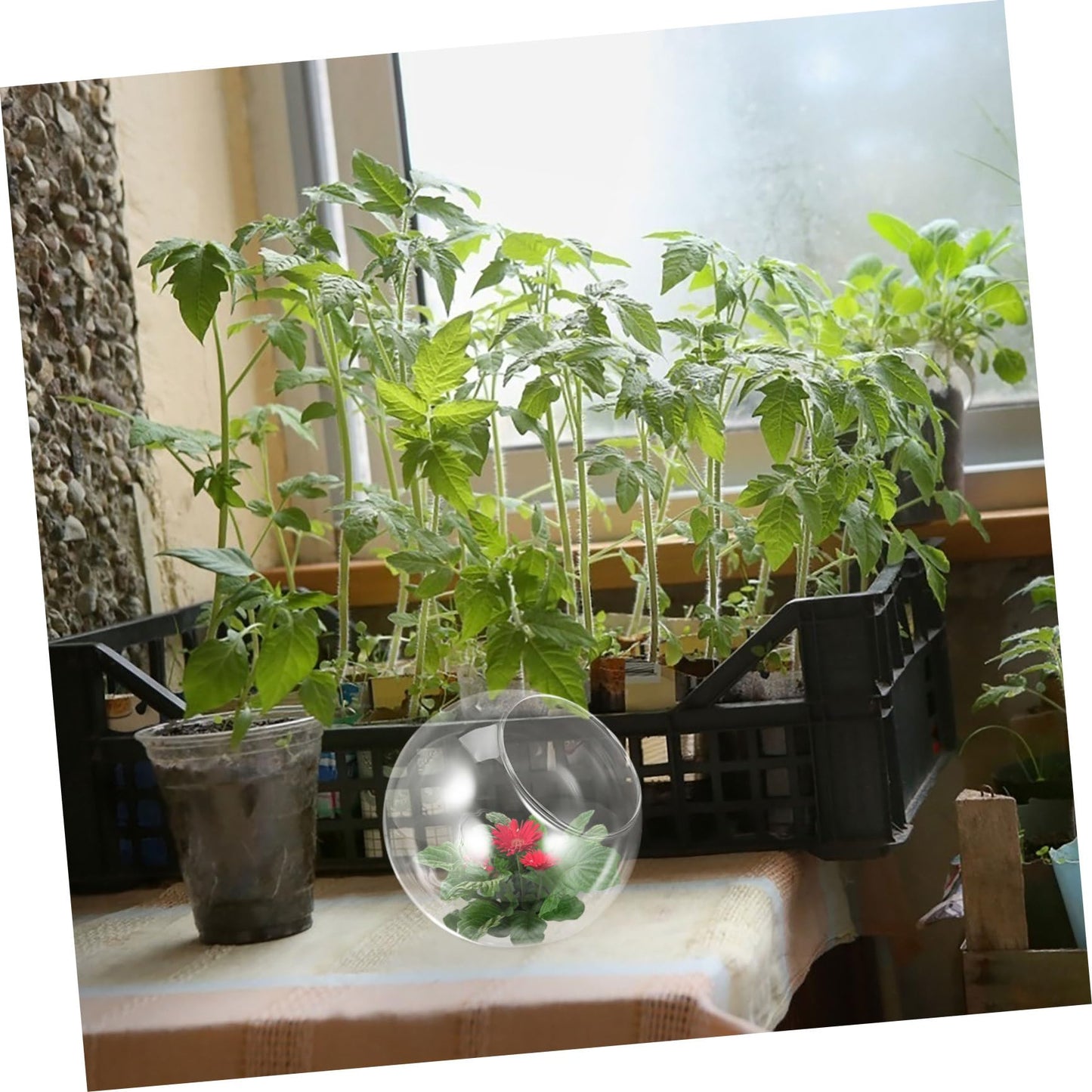 ULTECHNOVO Micro Landscape Glass Vase Oblique Mouth Creative Floral Decor for Weddings Parties and Home for Terrariums and Plant Arrangements