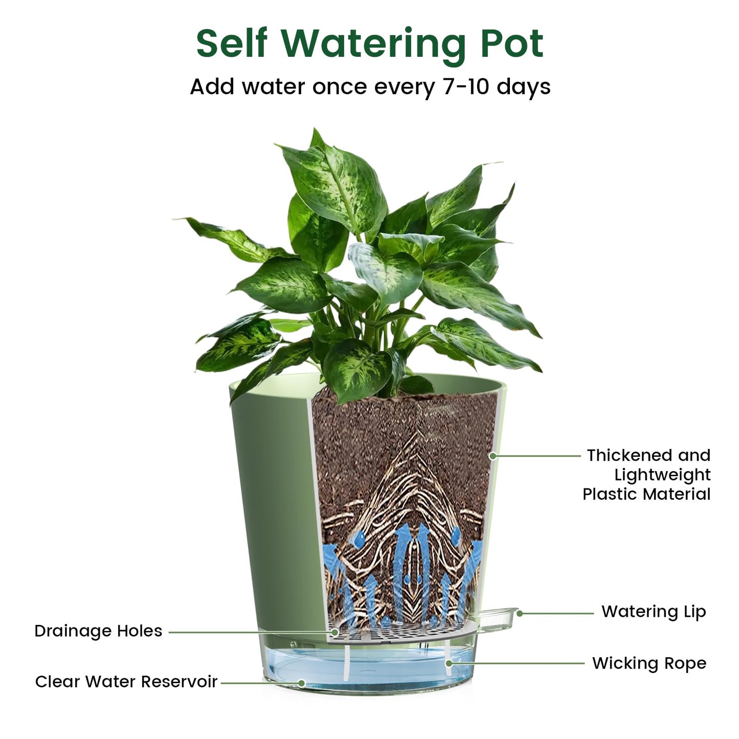 Meowell 8 inch Self Watering Pots for Indoor Outdoor Plants, 2 Pack Flower Plant Pots with Drainage Holes & Clear Reservoir for Visible Water Level, Plastic Wicking Planters for House Plants, Green