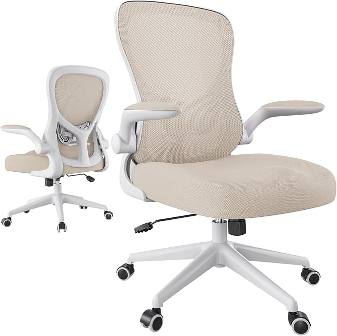 Hbada Office Chair Ergonomic Desk Chair, Office Desk Chairs