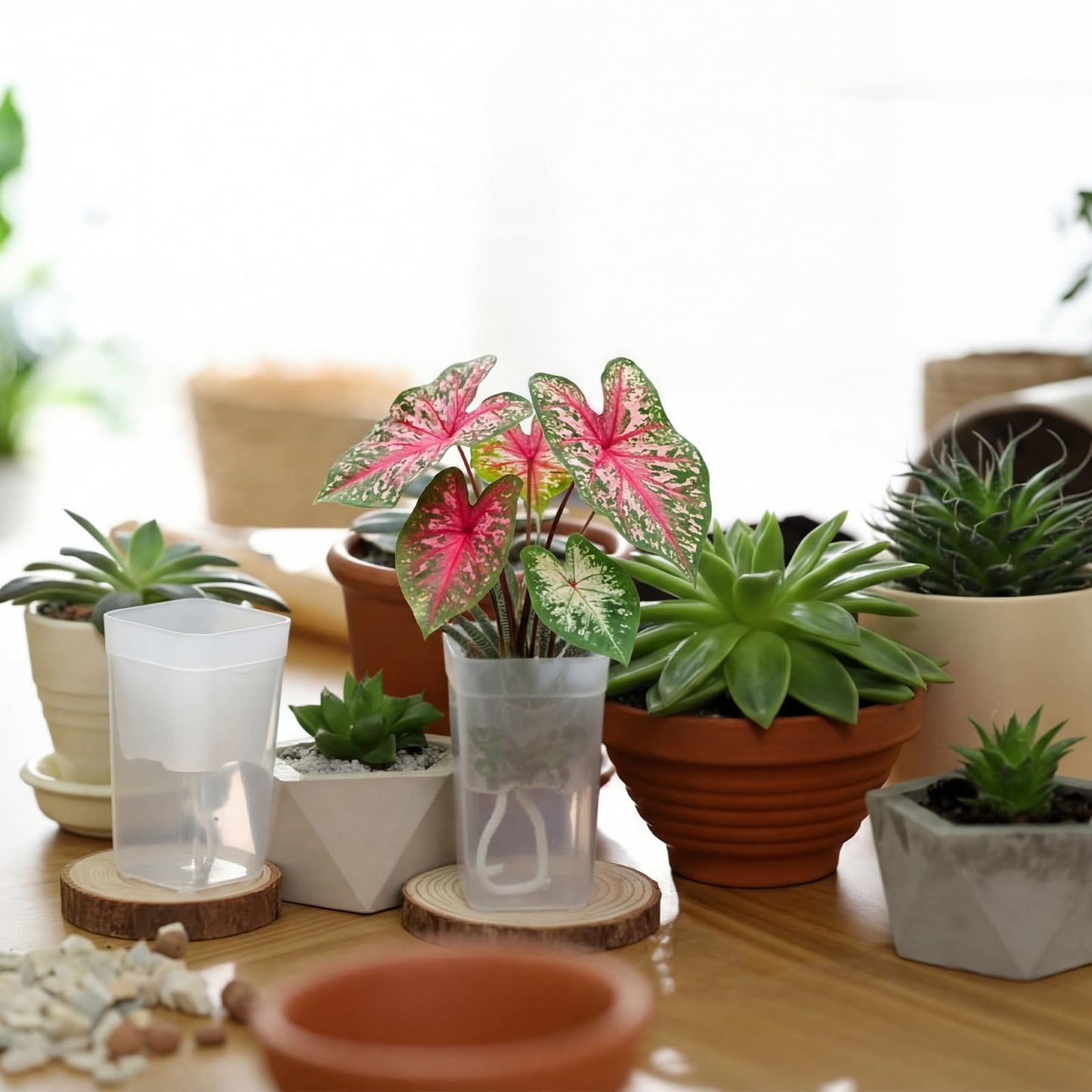 LemonRoad 20 Pack 2" Small Self Watering Pots for Indoor Plants with 20 Plant Label Mini Clear Plastic Planters with Water Level and Drainage Holes for Propagation, Succulents, and African Violet