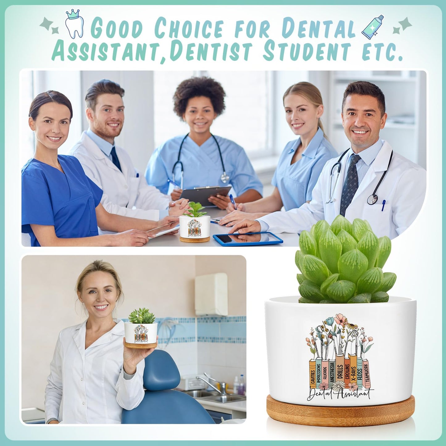 Havawish 6 Pcs Dental Assistant Gift Ceramic Succulent Planter Pots Mini Porcelain Plant Containers Funny Gifts for Dentist Dental Office Home Desk Tooth Decoration, Plants Excluded