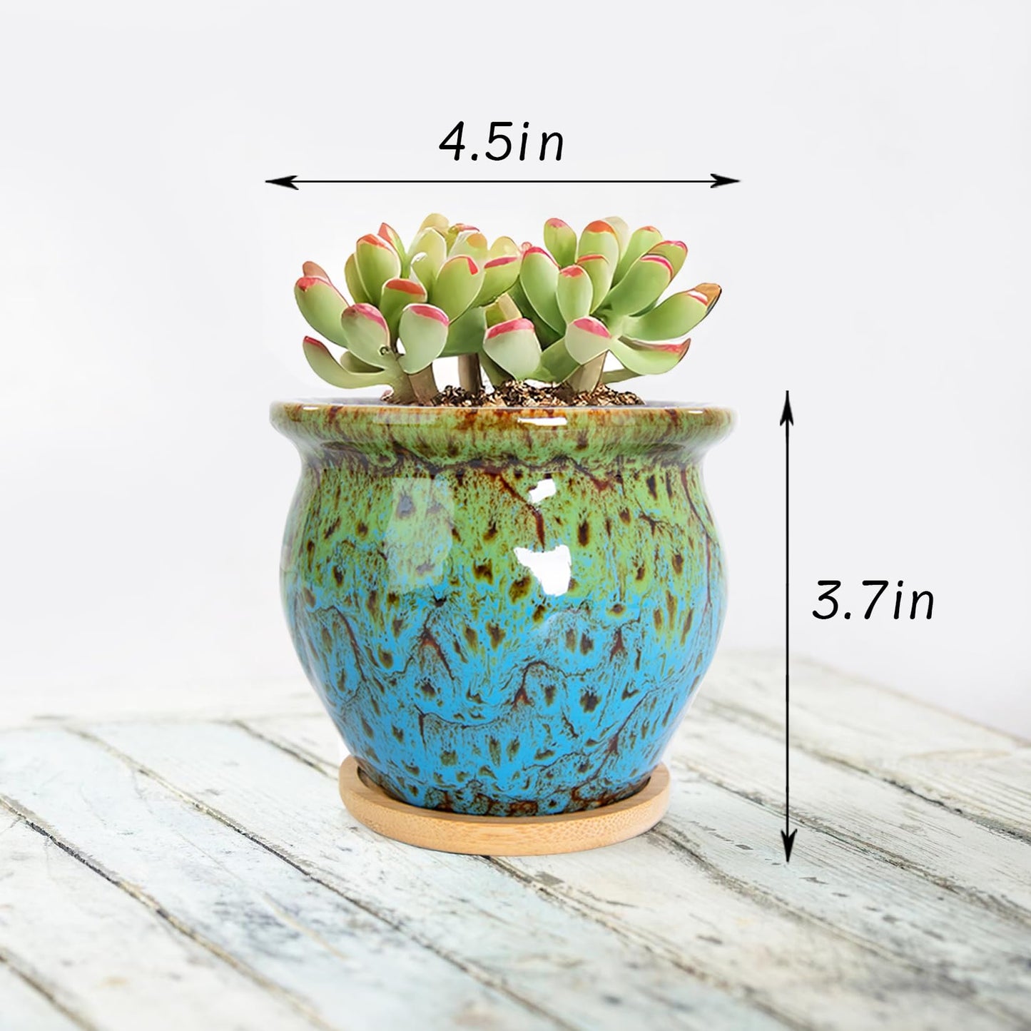ARTKETTY Succulent Pots - 4 Pack Small Plant Pots with Drainage Tray, Large Ceramic Bonsai Pots Shallow Planters for Indoor Plants Colorful Cactus Flower Planter, Gifts for Women