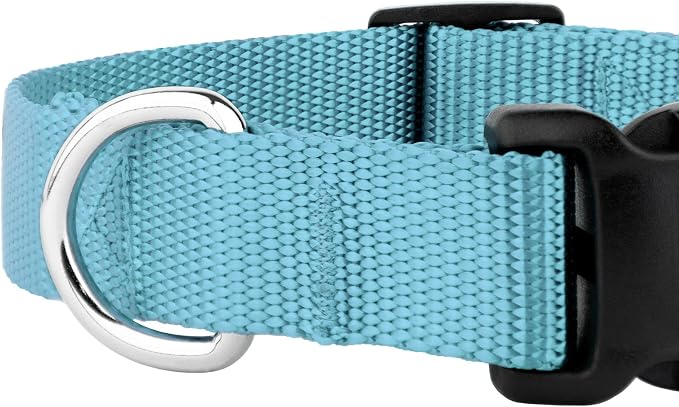 Country Brook Petz - Everyday Nylon Dog Collar and Leash - 10+ Cool Colors (3/8 Inch, Extra Small, Ocean Blue)