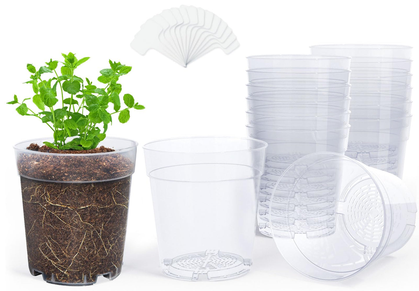 homenote Clear Nursery Pots for Plants,6.7 Inch Plant Pot for Planting Plastic Seedling with Drainage Holes Seed Starter Flower High Transparency with 20 Labels (15 Pack)