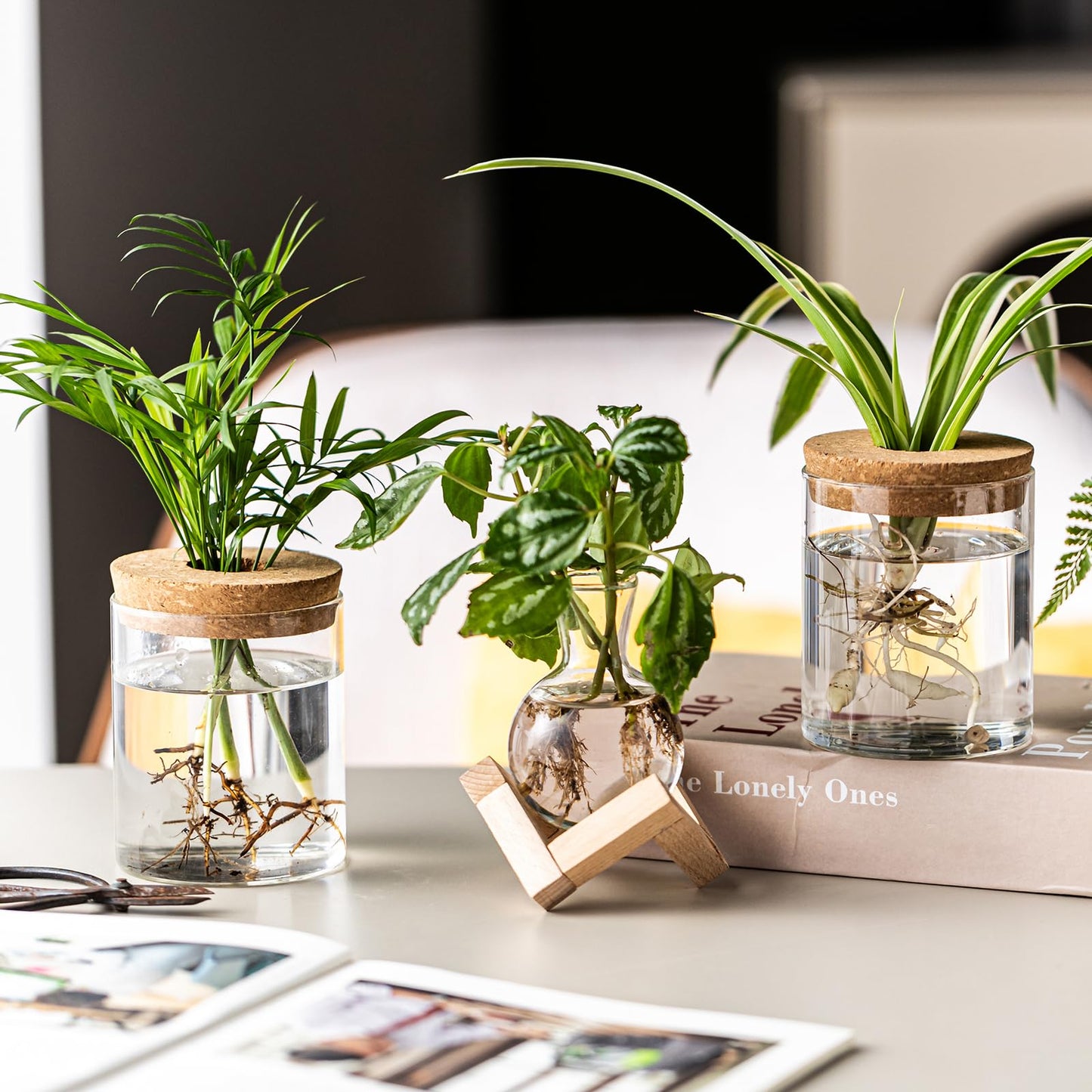 JGKYLDZ Plant Propagation Station, 2 Style Glass Planter Terrarium Set for Hydroponic Plants | Home Office Tabletop Decor, Gardening Gifts for Women, Mom, Plant Lovers (6)