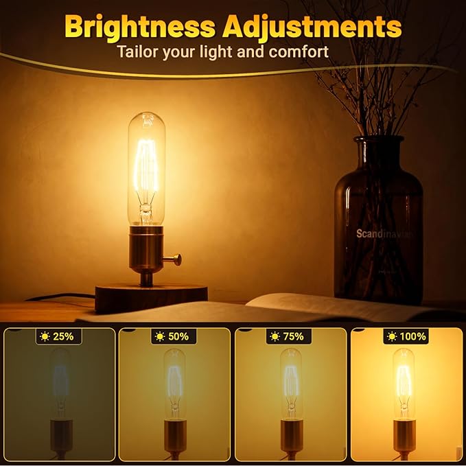 T10 Tubular Light Bulbs 40 Watt Incandescent Light Bulb, T10 Bulb, 120V 40W