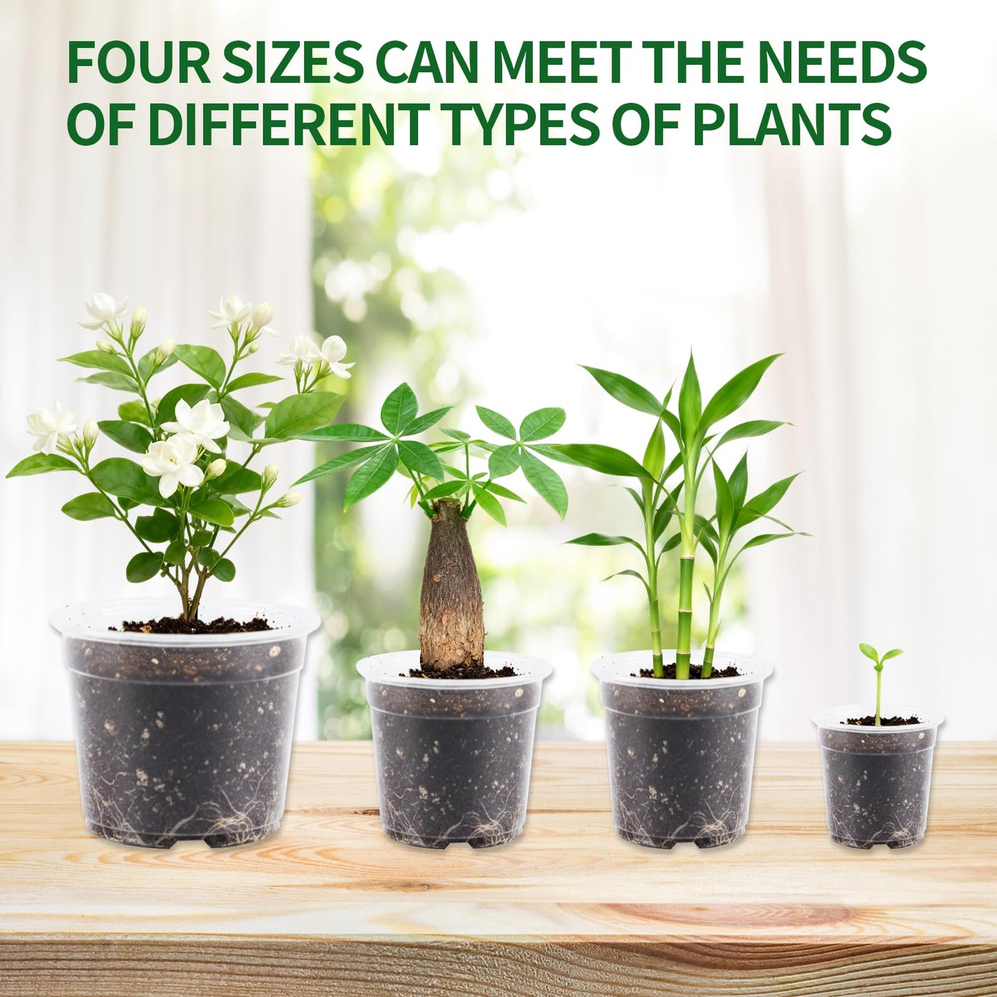 40 Pcs Seed Starter Pots Kit 2.5/3.5/4/5 Inch Clear Nursery Pots for Plants for Seedlings,Succulents,Plastic Nursery Pots with Drainage Holes (10 of Each Size),Garden Pot for Outdoor Indoor (Size A)