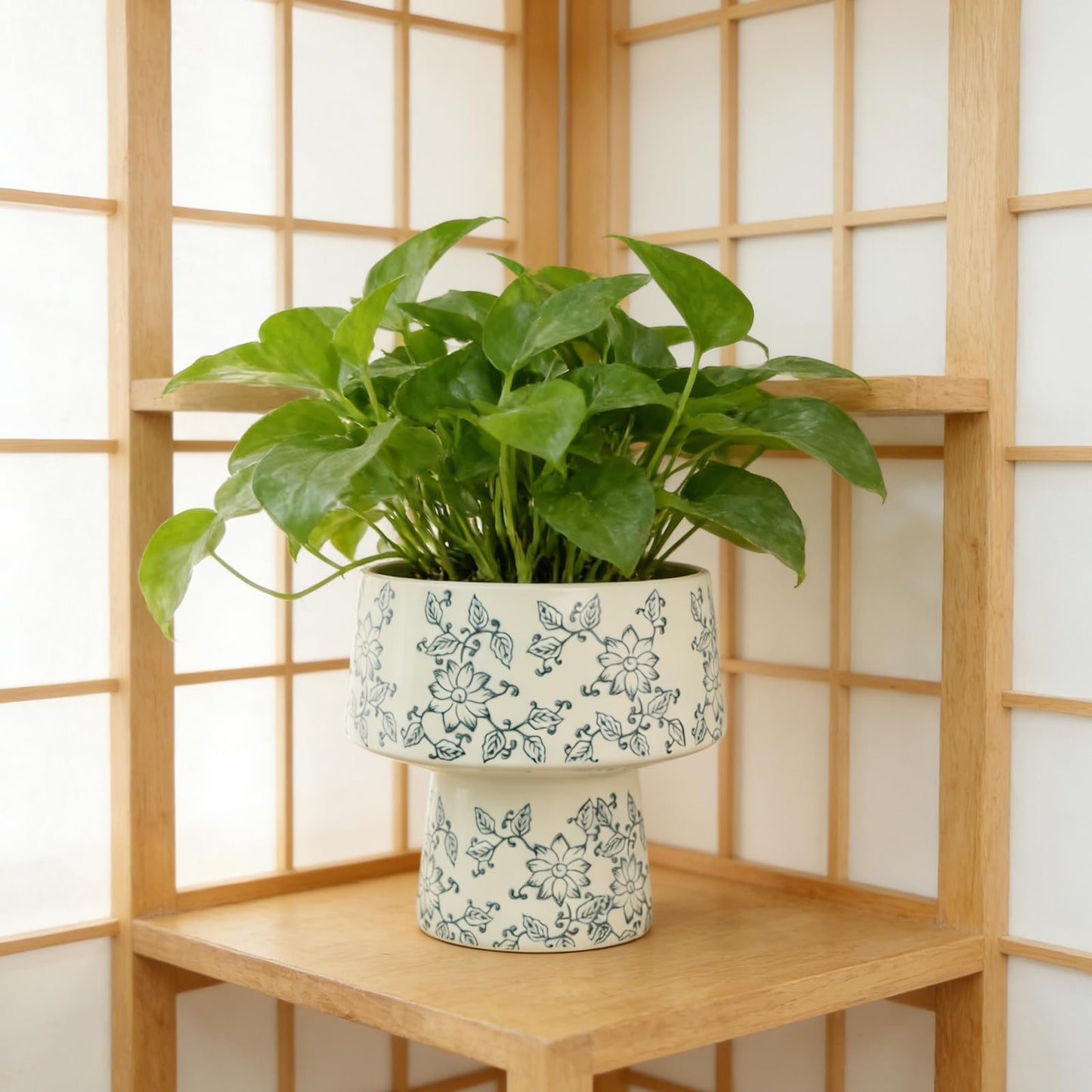 Blue and White Ceramic Flower Pot with Drainage Hole ，Elegant Succulent Plants and Orchid Planters , Home Decor Flowerpots with Tall Cup Shape Suitable for Tiger Tail Orchid and Floral Plants (BIG)