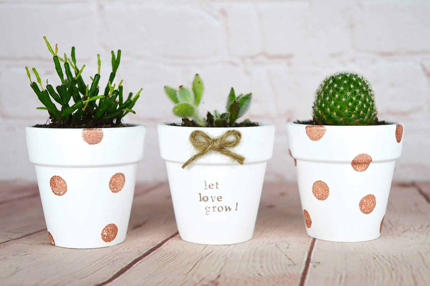 40 Pcs White Terracotta Pot - 2.5 Inch Mini Clay Pots with Drainage Holes Flower Nursery Terra Cotta Pots for Succulent Plants, Crafts, Wedding Baby Shower Favor