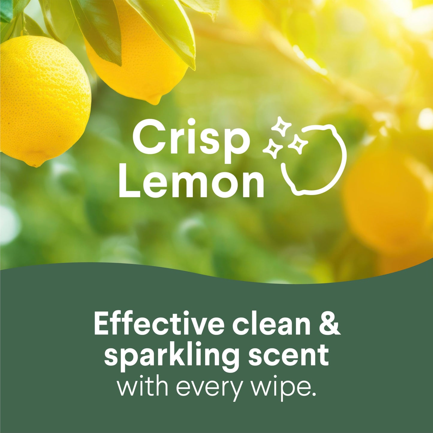 Clorox Disinfecting Cleaning Wipes for Spring Cleaning & Allergy Season, Bleach Free, Fresh Scent and Crisp Lemon, 75 Count Each, Pack of 4