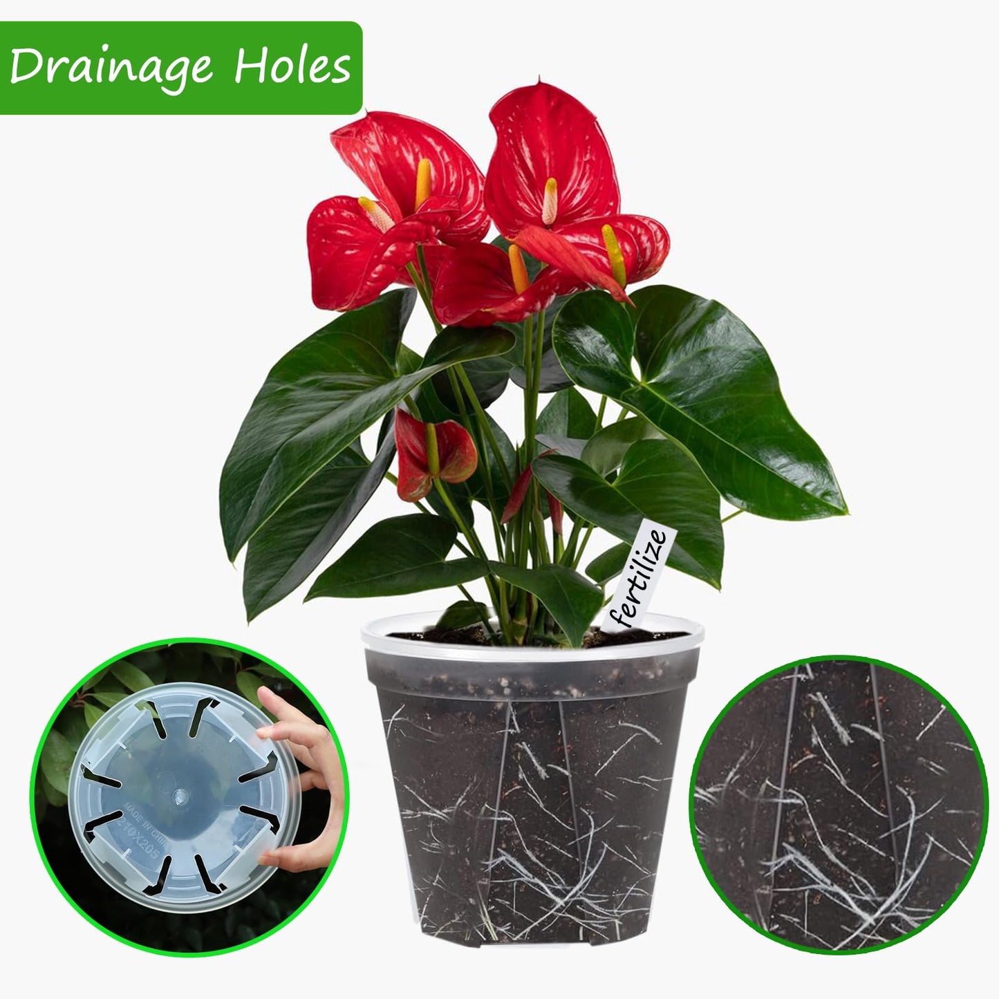 Artuxer 40Pack 4/5/6/7 inch Plastic Clear Nursery Pots with Saucer, 4 Sizes Garden Pots Plant Pots with Drainage Holes for Flower,Herb,Succulent,Plants, 100 pcs Plant Labels,5 Set for Indoor Outdoor