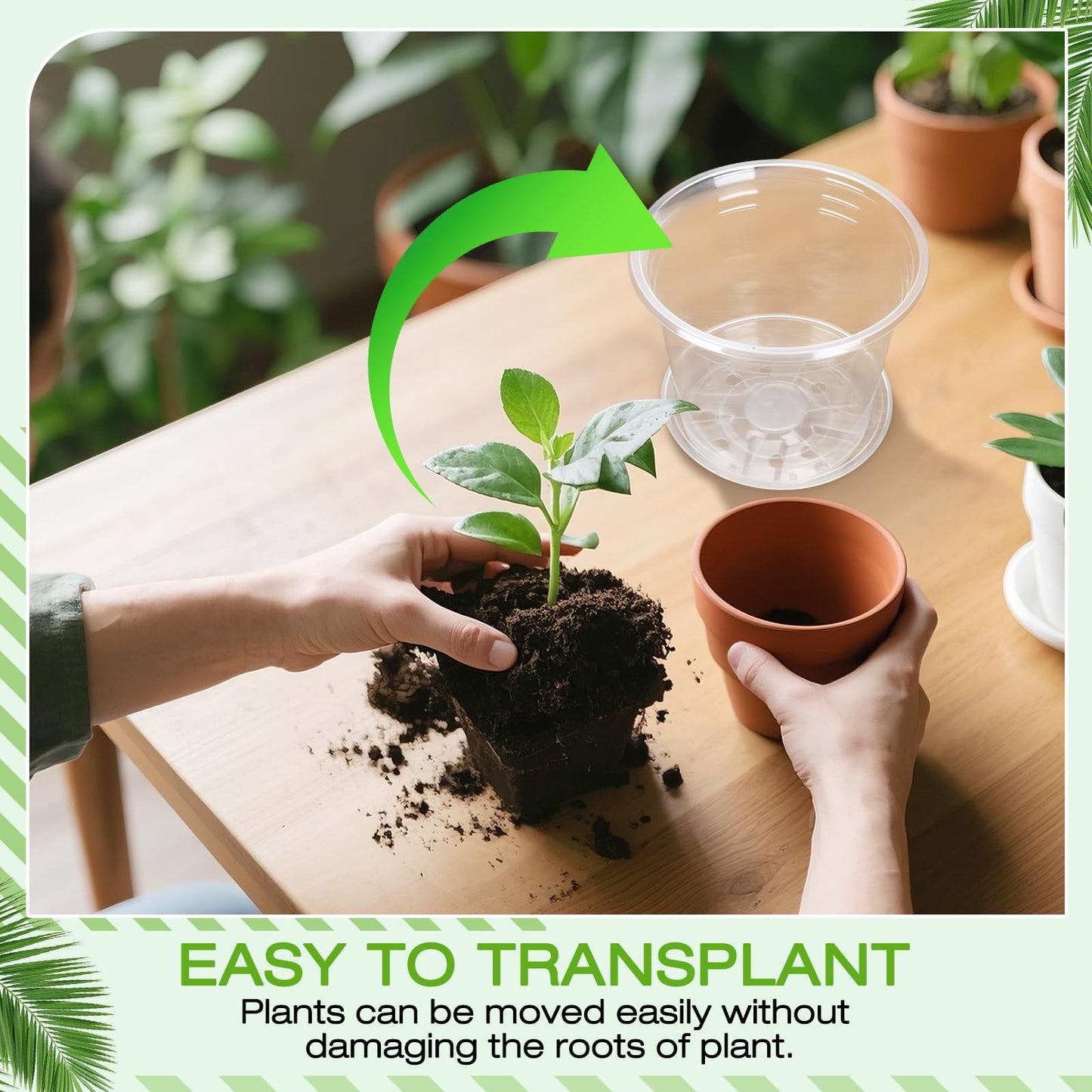 FUOAUYK 4 Inch Clear Nursery Pots with Drainage Trays, 15 Pack Plastic Pots for Plants, Clear Pot for Seed Starting, Transplanting, Succulents, and Indoor Gardening (4 inch)