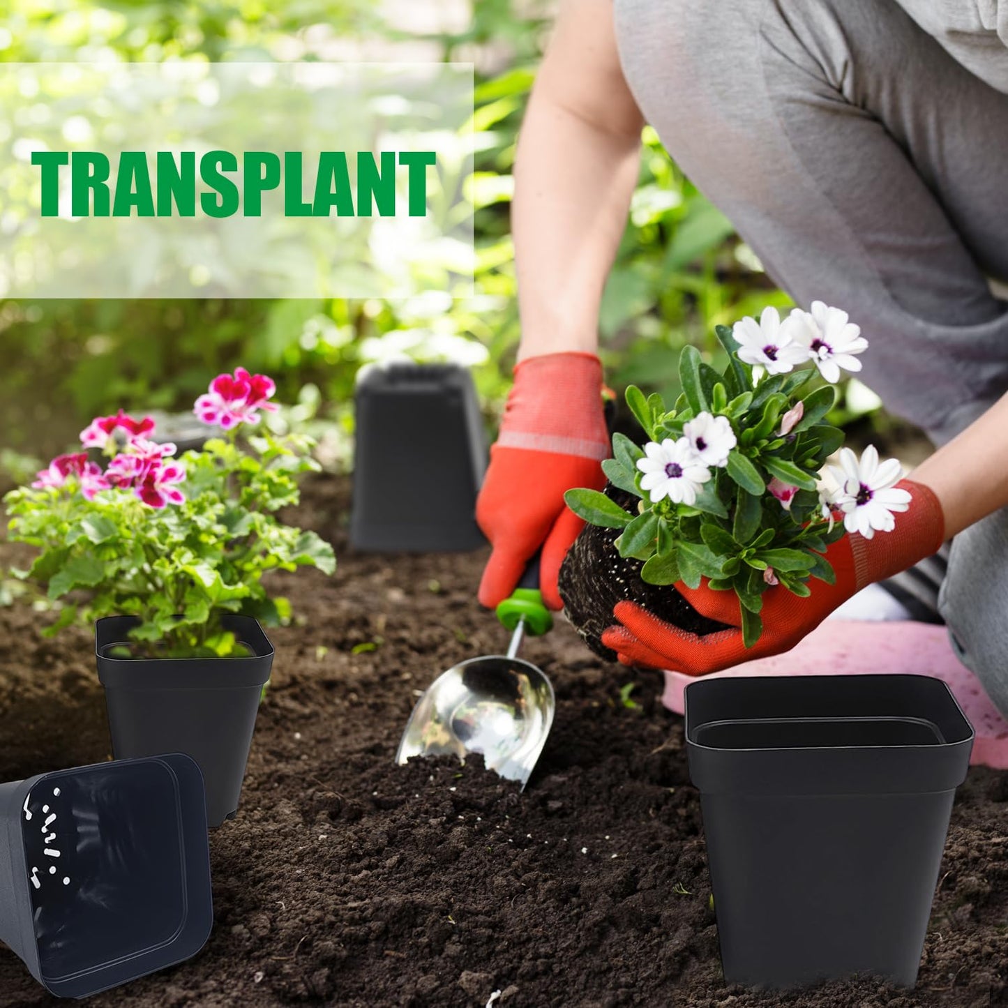 RooTrimmer Square Nursery pots 4 Inches 60Pcs, Seedling Plastic Seeds propogation Growing Pots (Black,4Inches,60Pcs)