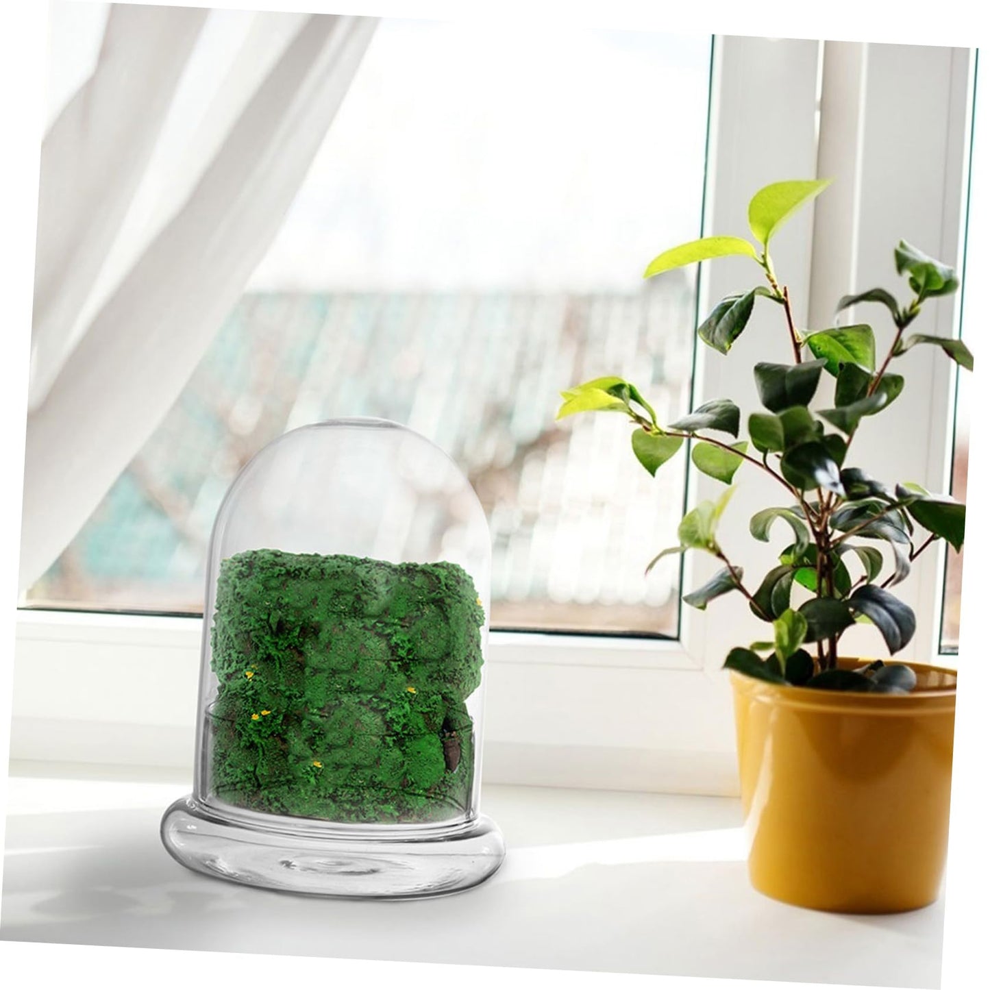 HEMOTON Eco Bottle Moss Glass Terrarium Air Plant Holder Hydroponic Vase Micro-Landscape DIY Decor