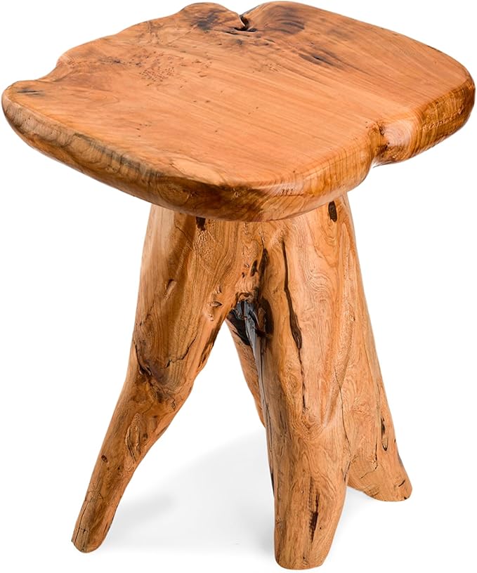 18.9 inch Live Edge Wood Stool, Live Edge Wood Stool, Freeform Mushroom Side