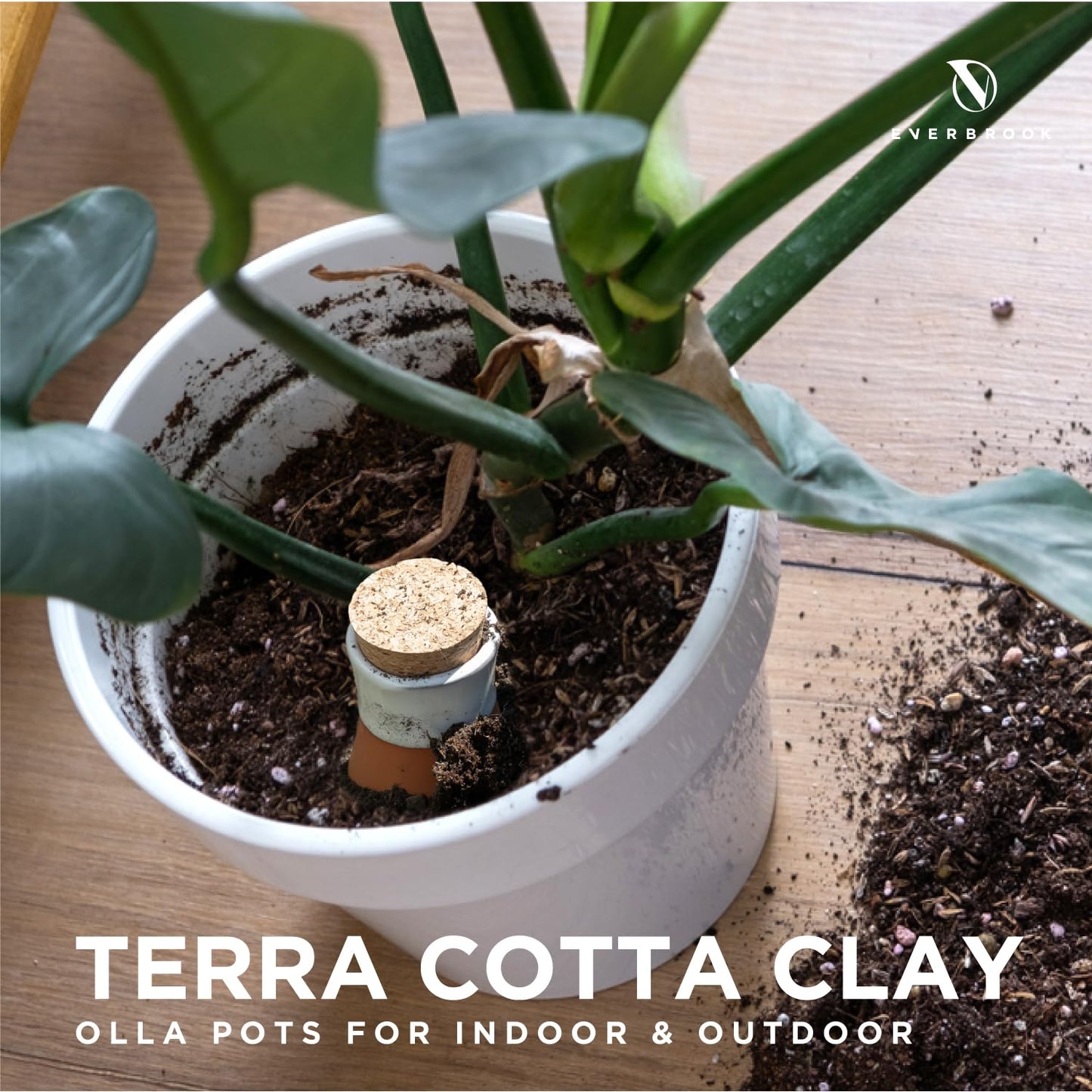 Everbrook Plant Self Watering Globes - Terracotta Watering Spikes - Slow Release Olla Watering Pots - Drip Irrigiation Olla System