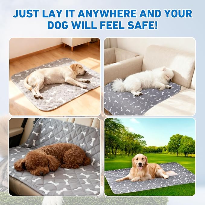 Puppy Pads with Pheromones,Washable Puppy Pee Pads for Dogs,Reusable Puppy Pads Washable for Dogs & Cats, Washable,Durable Leak-Proof & Anti-Slip Pet Training Pads for Home & Trave(White,L)