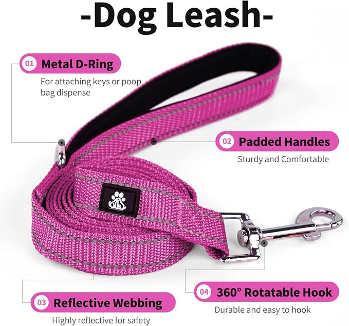 IVY&LANE 2 Pack Reflective Dog Collars and Leashs Set,Adjustable Neoprene Padded Dog Collar for Puppy, Breathable Nylon Pet Collar for Small Medium Large Dogs(Medium,Purple+Fuchsia)