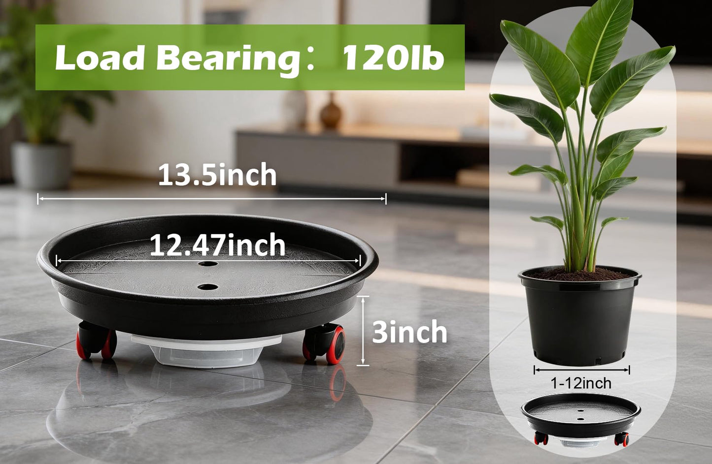 RooTrimmer 13 Inch Plant Stand Rolling Tray Plant Caddy with Wheels and Removable Drainage Holes and Drip Tray Plant Dolly for Heavy Duty Large Plants Rollers (2 Pack)