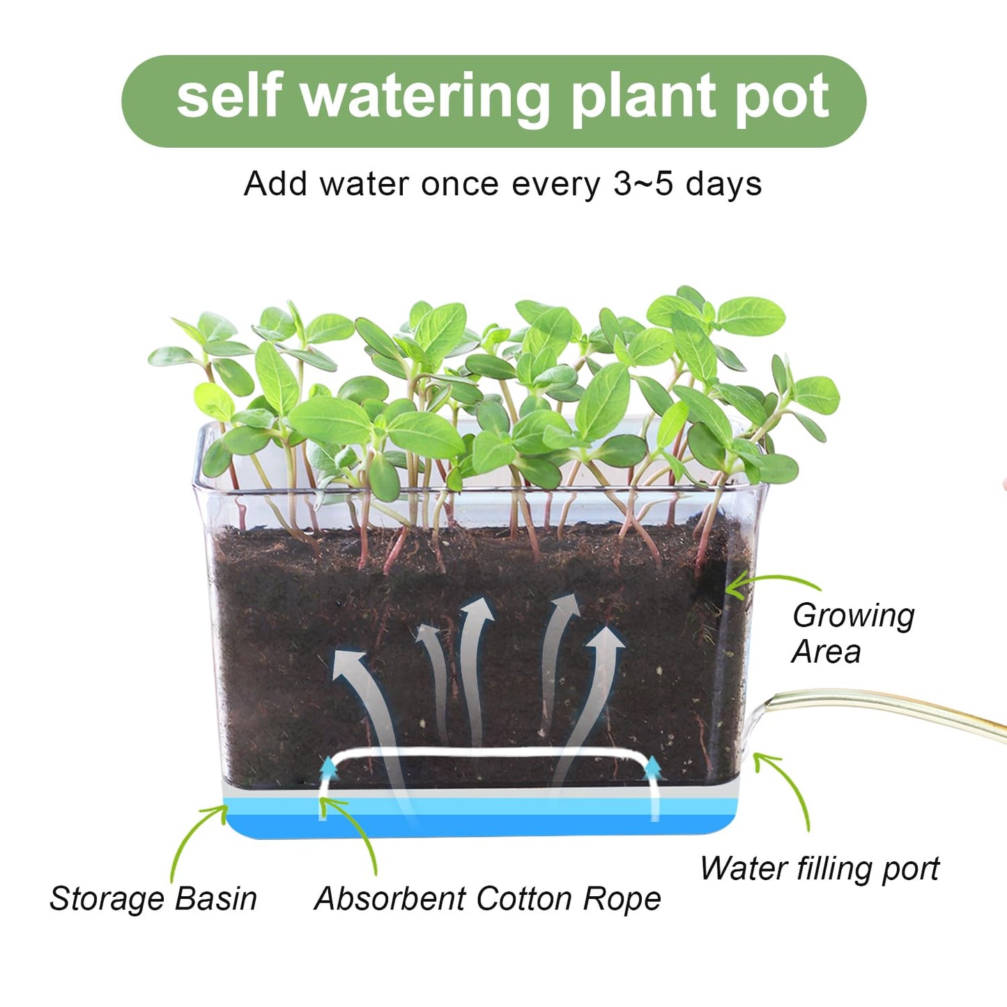 Oliz Self Watering Planters - 4 Pack Rectangular Clear Plant Pots with Drainage Holes for Indoor Plants