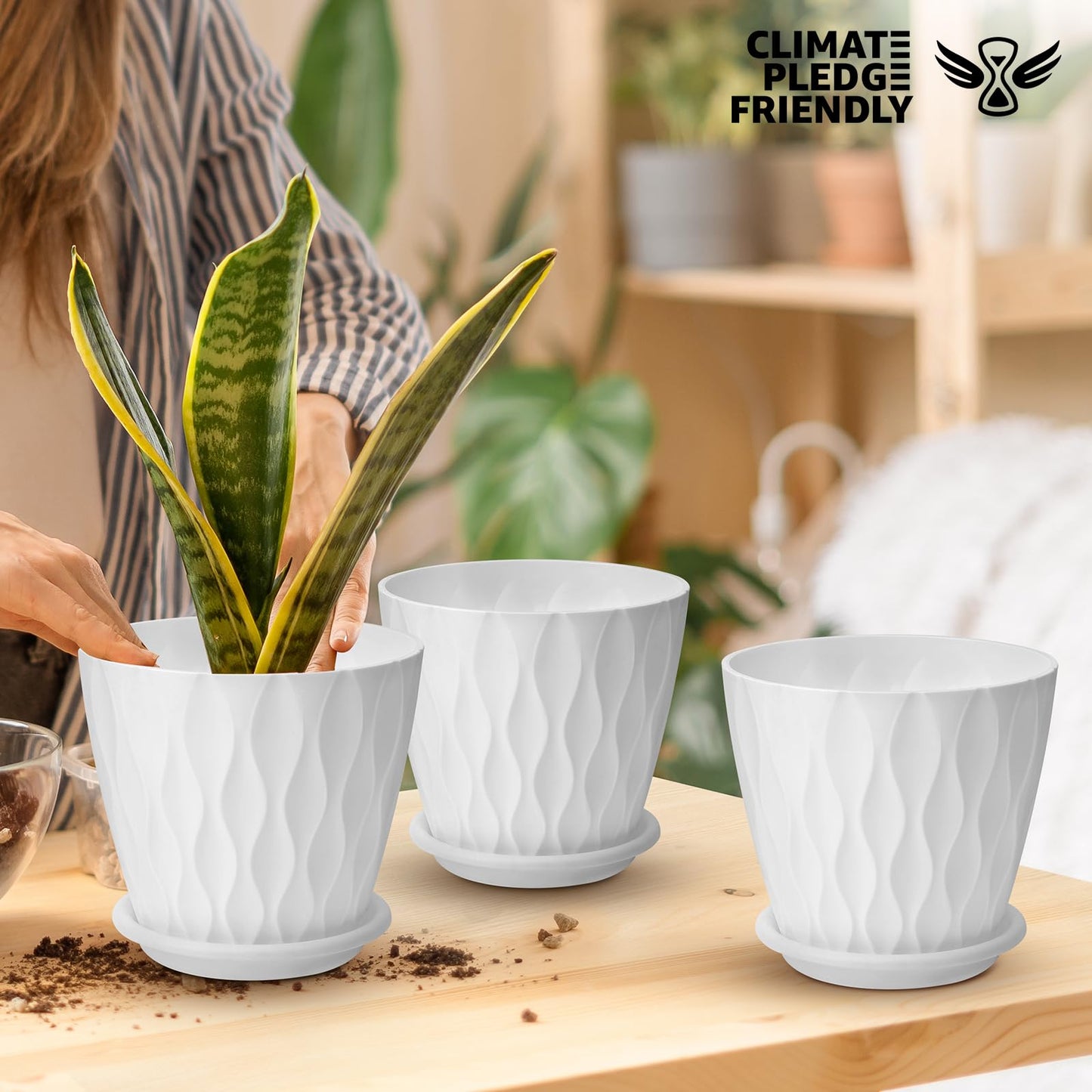 YNNICO 6 inch Plant Pots, 5 Pack Flower Pots Outdoor Indoor, Planters with Drainage Hole and Tray Saucer（White
