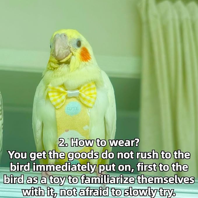 Bird Diaper Protective Parrot Nappy - 4 Pack, Reusable Flight Suit with Waterproof Inner Layer, Adjustable Shoulder Straps, Washable Cute Urine Wet Suit for Parakeet Conure (XS)