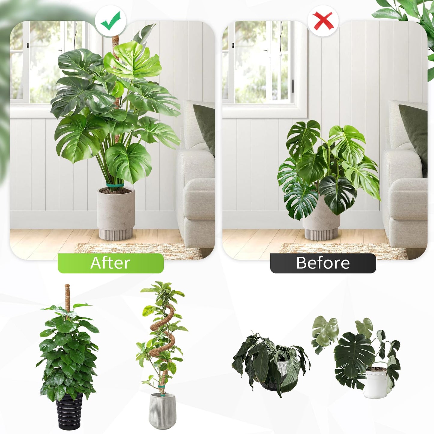 2 Pack Moss Pole Monstera Plant Support 63 Inch Bendable Monstera Support for Climbing Plants Extra Large Handmade Moss Poles Aluminum Plant Support Stakes Indoor Grow Upwards