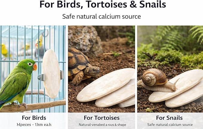 Birds LOVE 7.5-8" Cuttlebone for Birds – 100% Natural Sun-Dried Calcium Carbonate Mineral Supplement – for Parakeets, Budgies, Cockatiels, Finches & Canaries – 12 Pack with Holder – Made in Vietnam