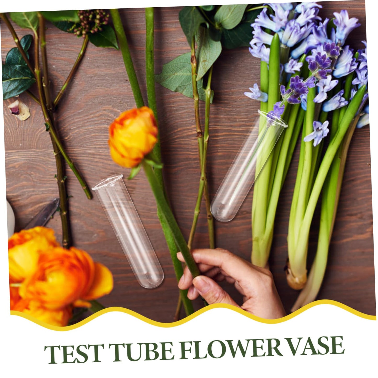 Toddmomy 5pcs Glass Test Tube Vase for Air Plants Live Houseplants Propagation Station Terrarium Plants