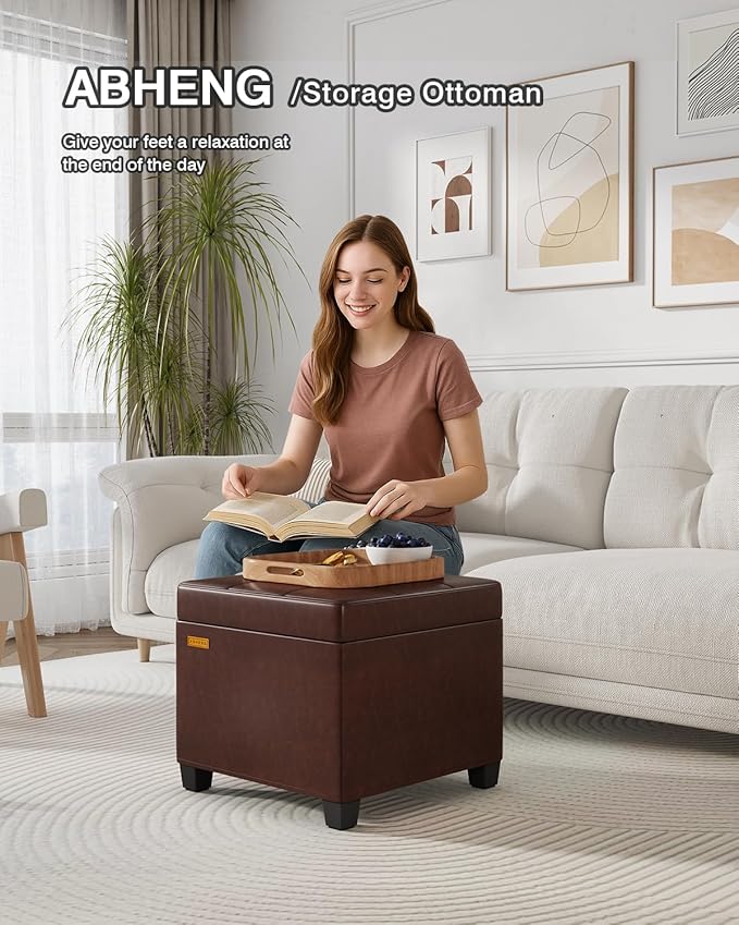 ABHENG Synthetic Leather Cover Steel Frame Ottoman