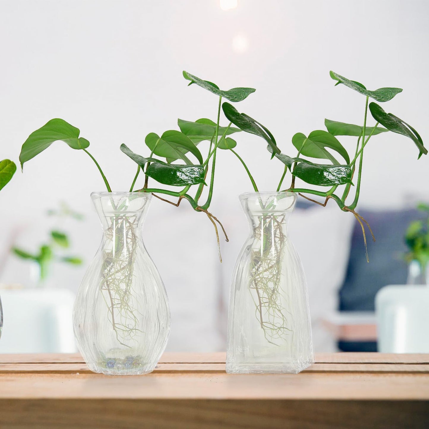 Sewroro 4pcs Decorative Glass Vases Small Terrarium Flower Vases for Hydroponic Plants Desk Home Décor Minimalist Glass Flower Containers