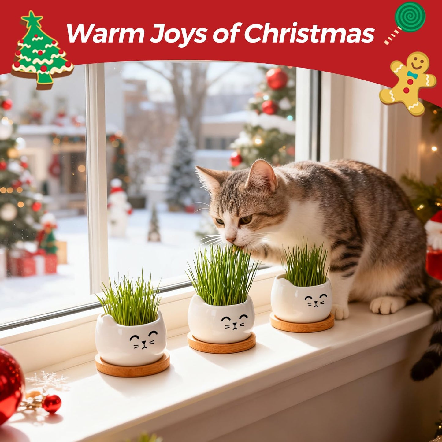 T4U Cat Planter 3.8 Inch, 3 Pcs Cute Cat Small Plant Pots for Indoor Plants, Mini Cat Succulent Pots for Plants, Ceramic Succulent Planters with Drainage, Tiny Flower Pots