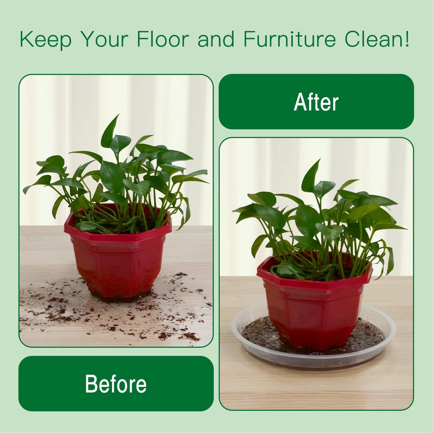 Dapsang 6 Pack Plant Saucers of 10 Inch, Clear Plastic Plant Trays for Pots Indoor Outdoor, Round Durable Sturdy Plant Water Catcher Tray for Drainage Decoration Protection