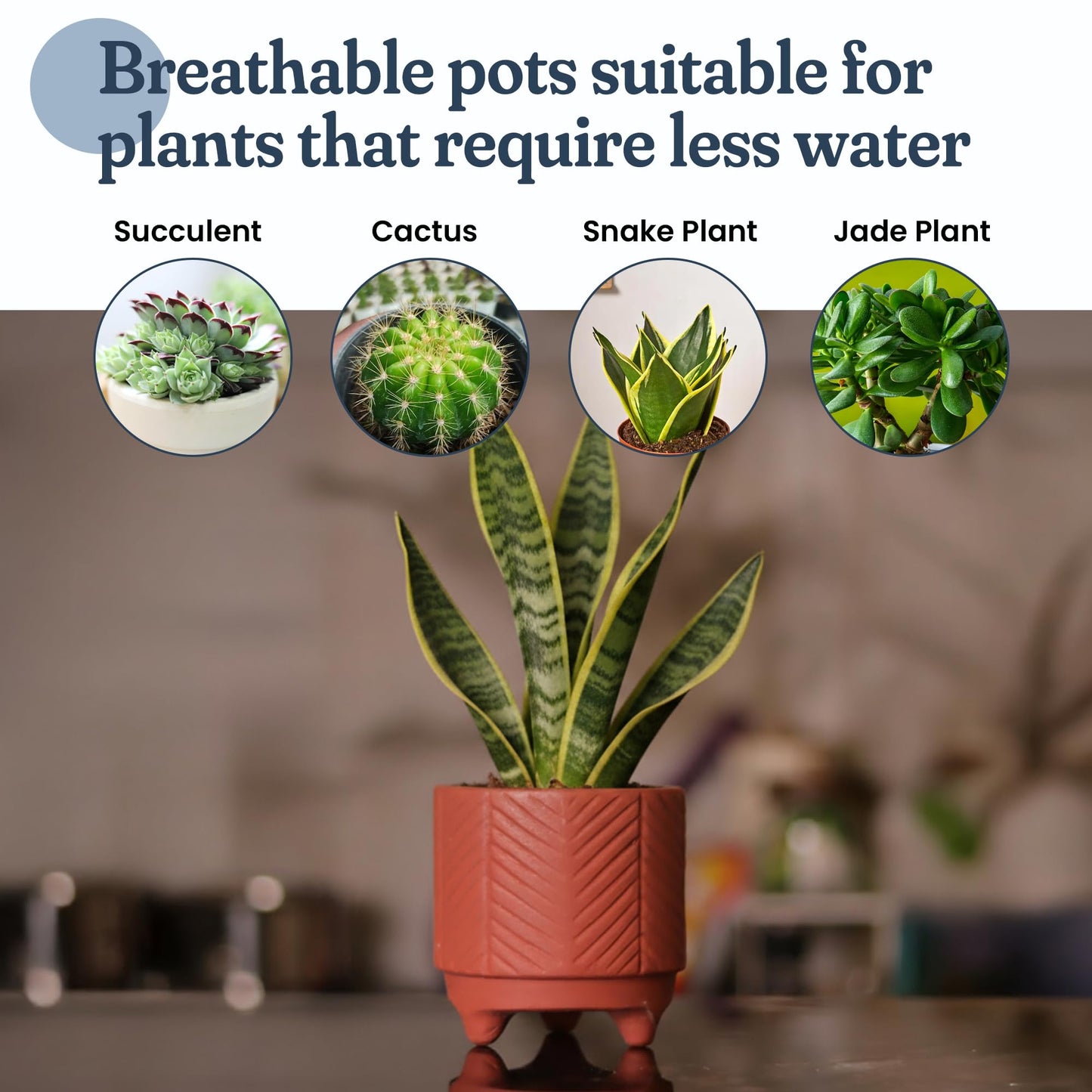 FINE Living 4 Inch Terracotta Pot with Chevron Pattern, Boho Ceramic Planter Clay Pots for Indoor Plants, Succulent Planter with Drainage Hole and Mesh Net for Gifts, Garden & Home Decor