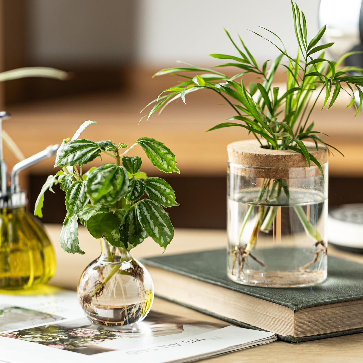 Plant Propagation Stations, 2 Style Glass Planter Terrariums, Propagation Vases for Plant, Plant Propagation Jars for Hydroponic Planter Home Office Tabletop Decoration (8)