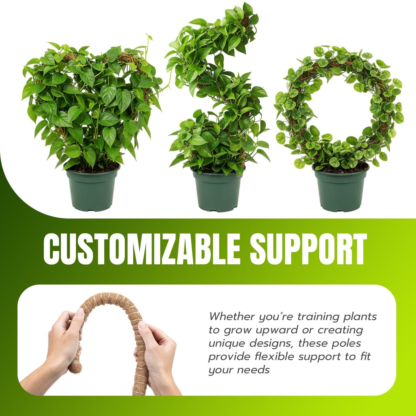 Mcbazel 2 Pack 63 Inch Bendable Moss Pole for Plants Monstera - Extra Tall 5.2ft Coco Coir Plant Support Stakes for Large Indoor Climbing Vines - Flexible Totem Stick Kit with Rope, Wire & Ties