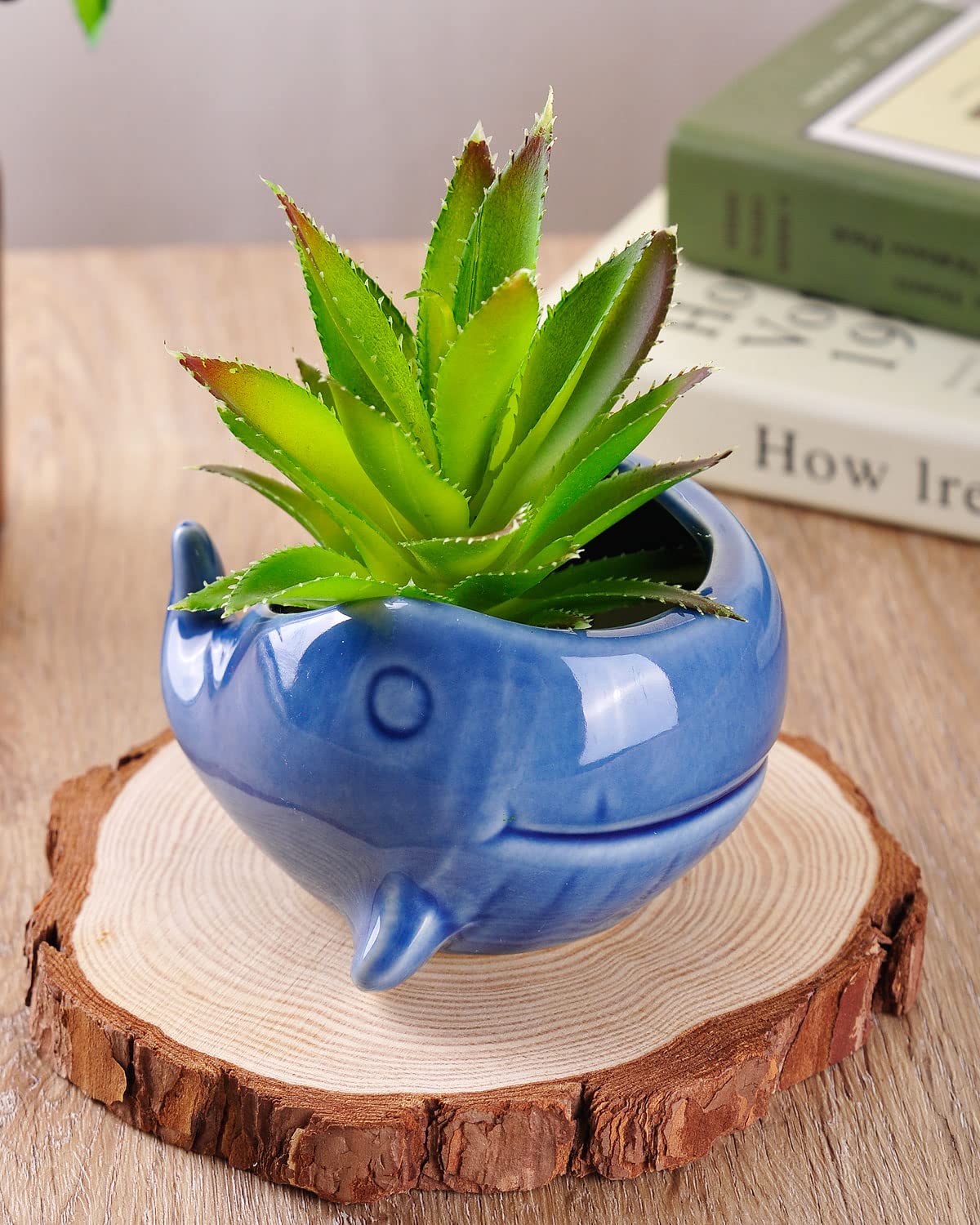 VanEnjoy 5" Ocean Blue Seashell Series Conch Shaped Cactus Planter, Flower Pot, Bonsai Pot (Dark Blue Whale)