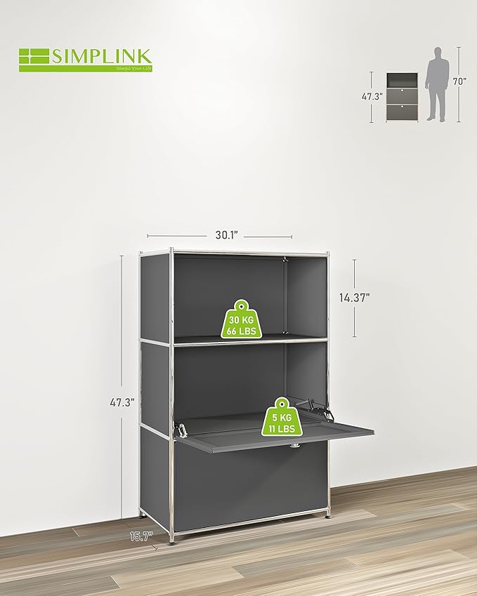 Metal Shelf with 2 Flap Doors, Large Capacity Cabinet, DIY Modern Home
