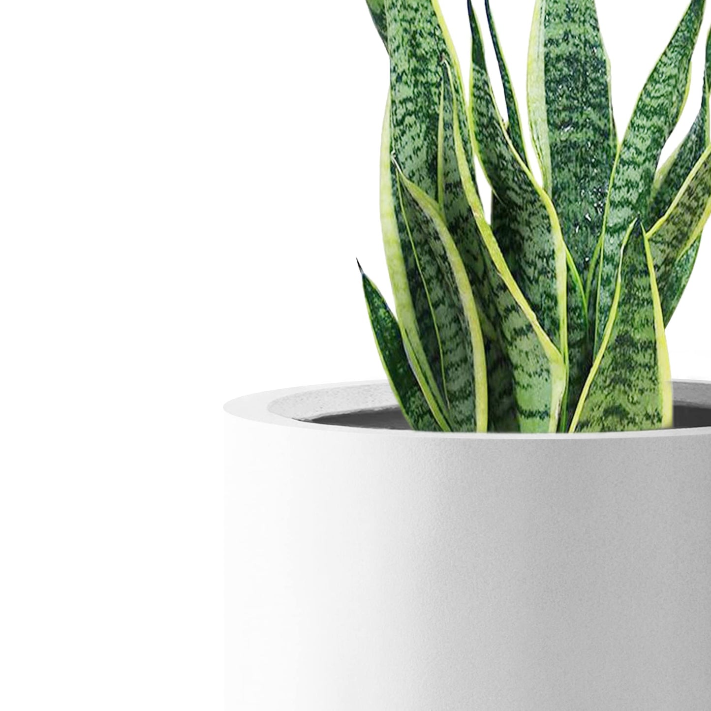Kante 12.6" Dia Round Concrete Planter, Modern Style Large Cylindrical Plant Pot with Drainage Hole and Rubber Plug for Indoor Outdoor Patio, Pure White