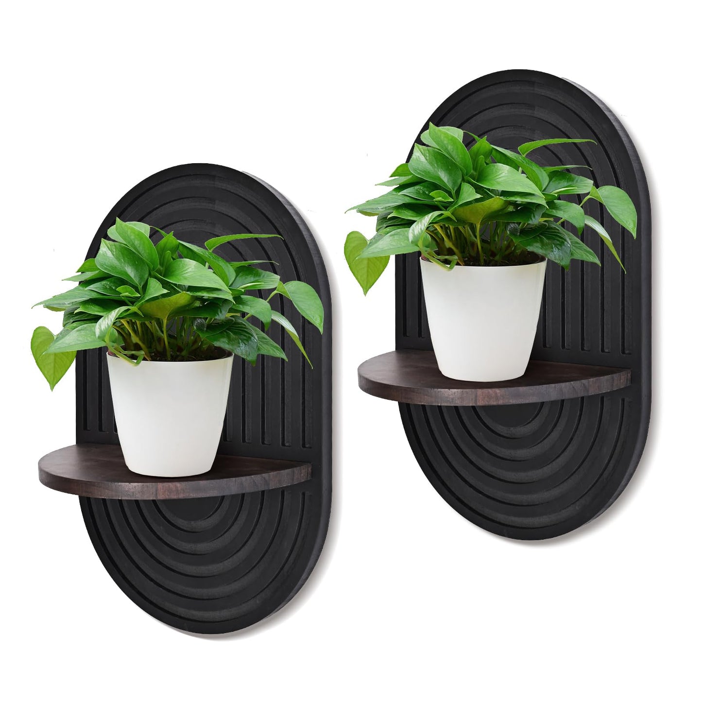 ZELURA 2 Pieces Boho Wall Shelf, Mid Century Shelves, Decorative Storage Unit, Black Plant Shelves, Wall Plant Holder,Floating Shelves