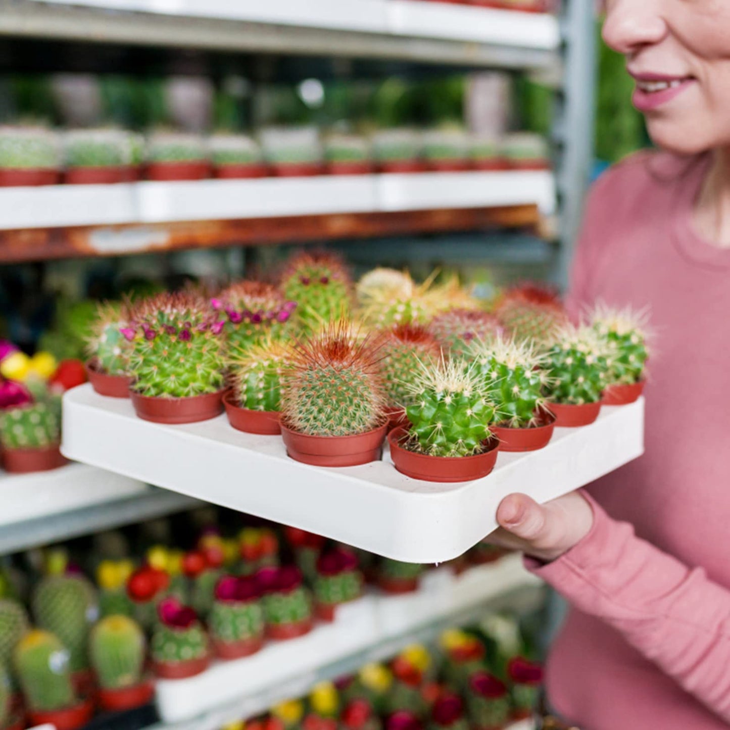 KINGLAKE 100 Pcs 2 Inch Plastic Plant Nursery Pots,Seed and Cutting Pots for Succulent Plants