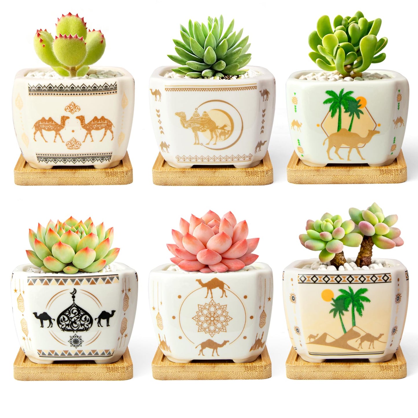 Succulent Pots with Drainage, 3.2" Small Plant Pots with Bamboo Trays, Ceramic Pots for Indoor Plants, Cactus Pots, Mini Succulent Planters for Home Garden Decor, Set of 6