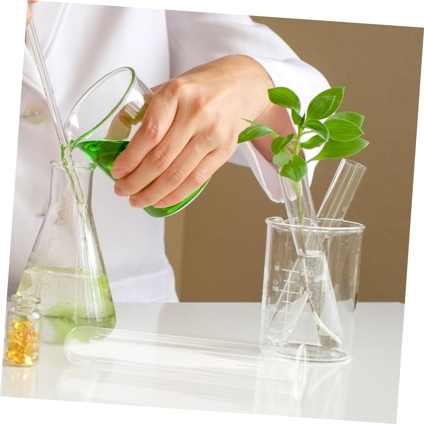 HEALEEP Glass Test Tubes for Plant Propagation 5pcs 2.5x3x15cm Hydroponic Floral Vase Glass Tubes for Small Terrarium Plants and Home Décor